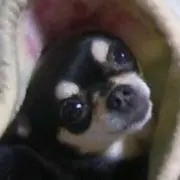 るいみー