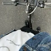 雷牙(らいが)の画像