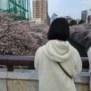 アンの画像