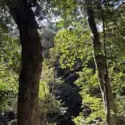 Ｋ♡