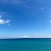 サトルの画像
