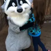 YMの画像