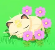 杏。の画像
