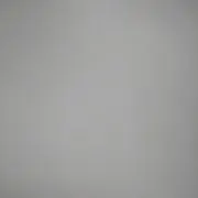 実香