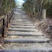 きくちの画像