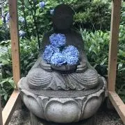 みいの画像