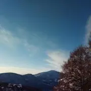 maruboyの画像