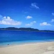 RYO/セール中★の画像