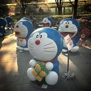 CMSNの画像