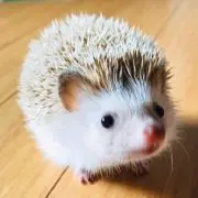 Yuファームズマザーの画像
