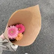 きなこの画像
