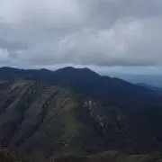 なかむらの画像