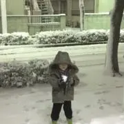 ichu