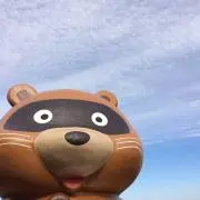 ぽんきちの画像