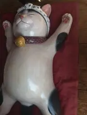 よっしーの画像