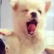 さちこの画像