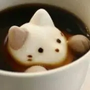 ゆきねこ
