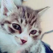 natsu♪