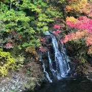 ナオキ