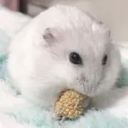 みかこりん【プロフィール必読下さい】の画像