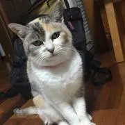 さゆり