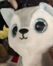 ぽぽの画像