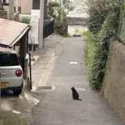 のん。の画像