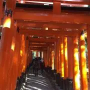さくら