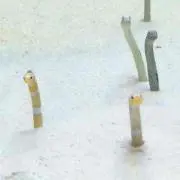 のび