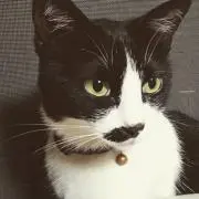 ひよこ★プロフ必読お願いしますの画像