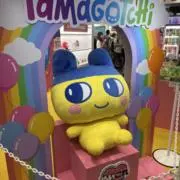 るりっぷの画像