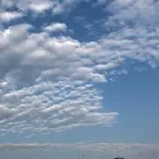 FF
