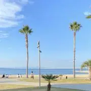 Yuの画像