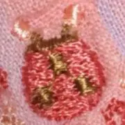 Ladybugの画像