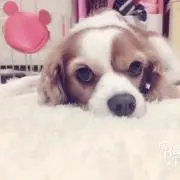 y..♡