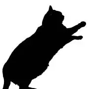 黒猫御堂の画像