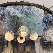 ivoryの画像