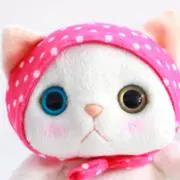 ききちゃんの画像