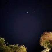 たるとの画像