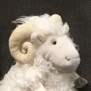 ふわふわラムの画像