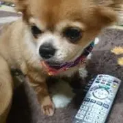 津田 ジュン
