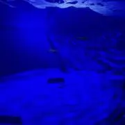 Yamu //の画像
