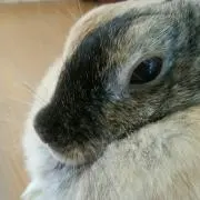 ソロキャンjijiiの画像
