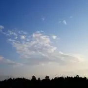 わか