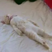 なおこ