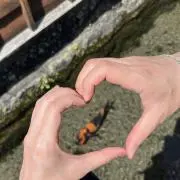 くるみプロフ必読の画像