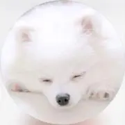 さなの画像