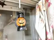 豆ちゃんの画像