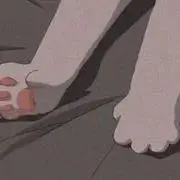 nekoの画像