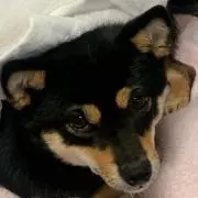 ケイ